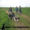 Hundedemo am 1. Mai